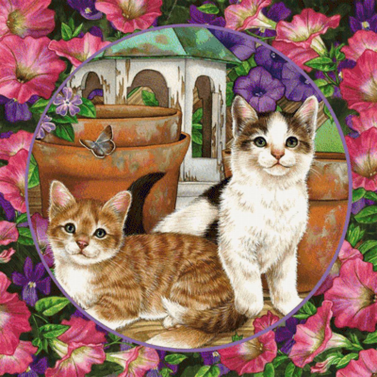 dve mačky - предпросмотр