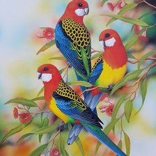 Схема вышивки «vtáci»