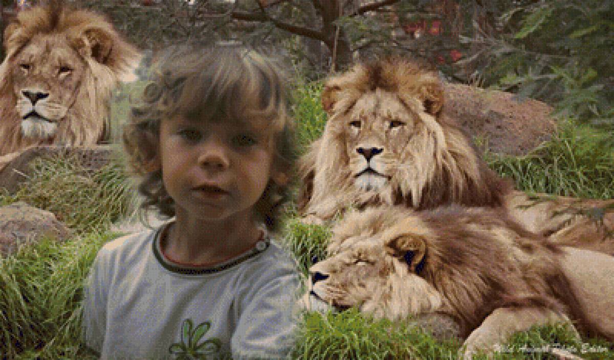 sunus - vita.s - предпросмотр