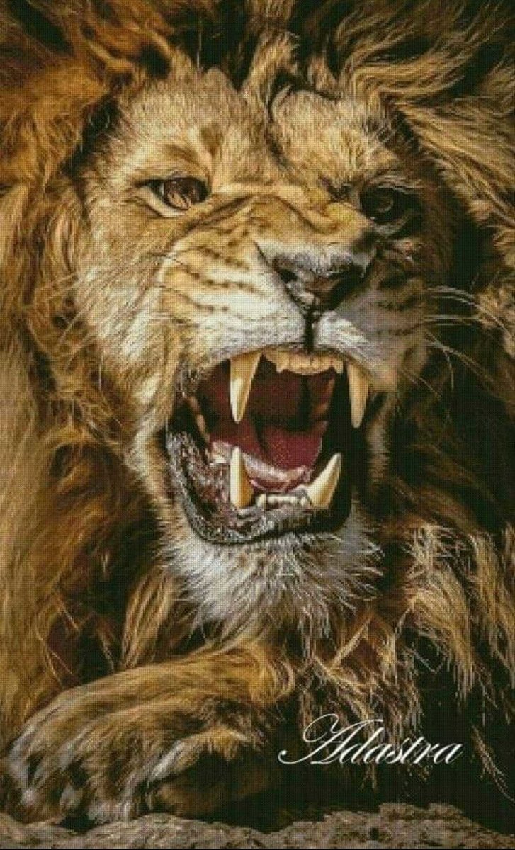 liutas - vita.s - оригинал