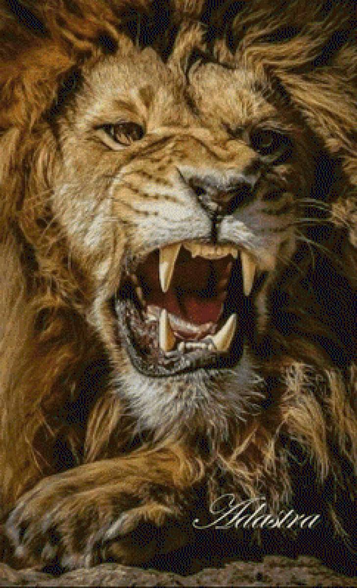 liutas - vita.s - предпросмотр