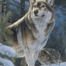 Схема вышивки «дикие»