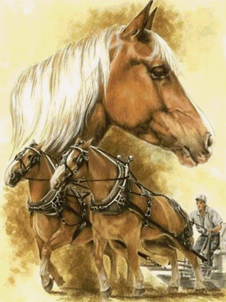 arkliai - vita.s - предпросмотр