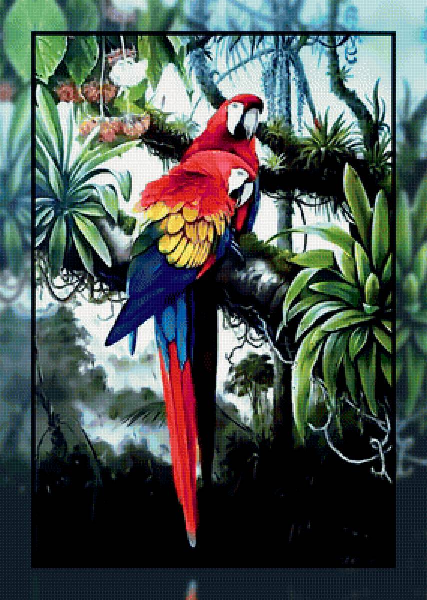 Попугаи - птицы попугаи. - предпросмотр