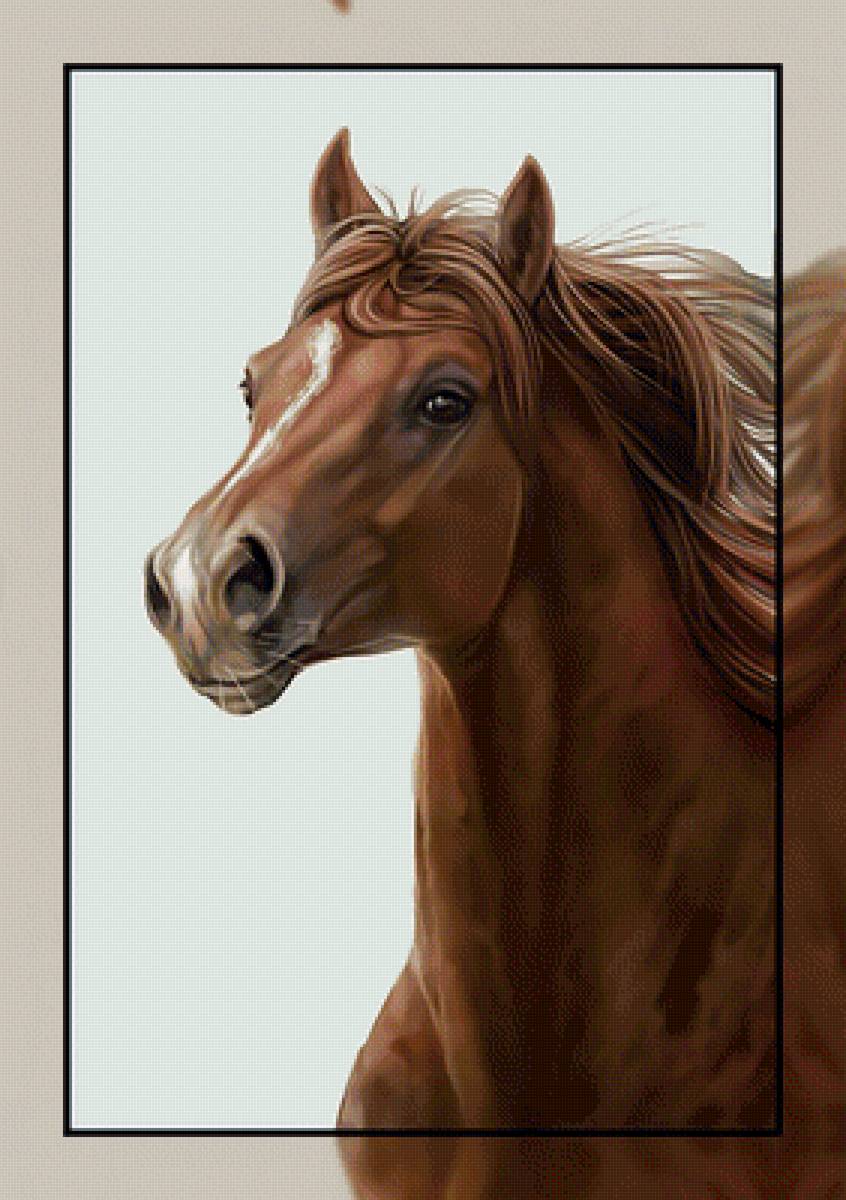 Конь. - конь., лошадь - предпросмотр