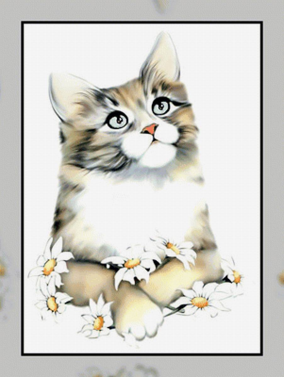 Кот с ромашками. - цветы., кот, ромашки - предпросмотр