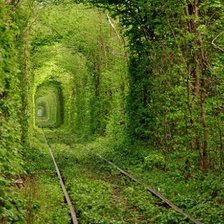 Схема вышивки «Тоннель Кохання»