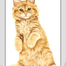 Схема вышивки «Рыжий котёнок.»