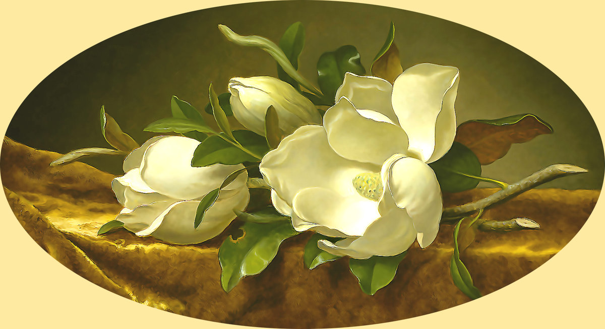 Серия "Магнолии" - цветы, флора, магнолии - оригинал