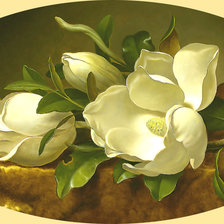 Схема вышивки «Серия "Магнолии"»