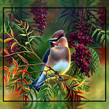 Схема вышивки «Птичка на рябине.»