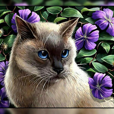 Кошка в цветах.