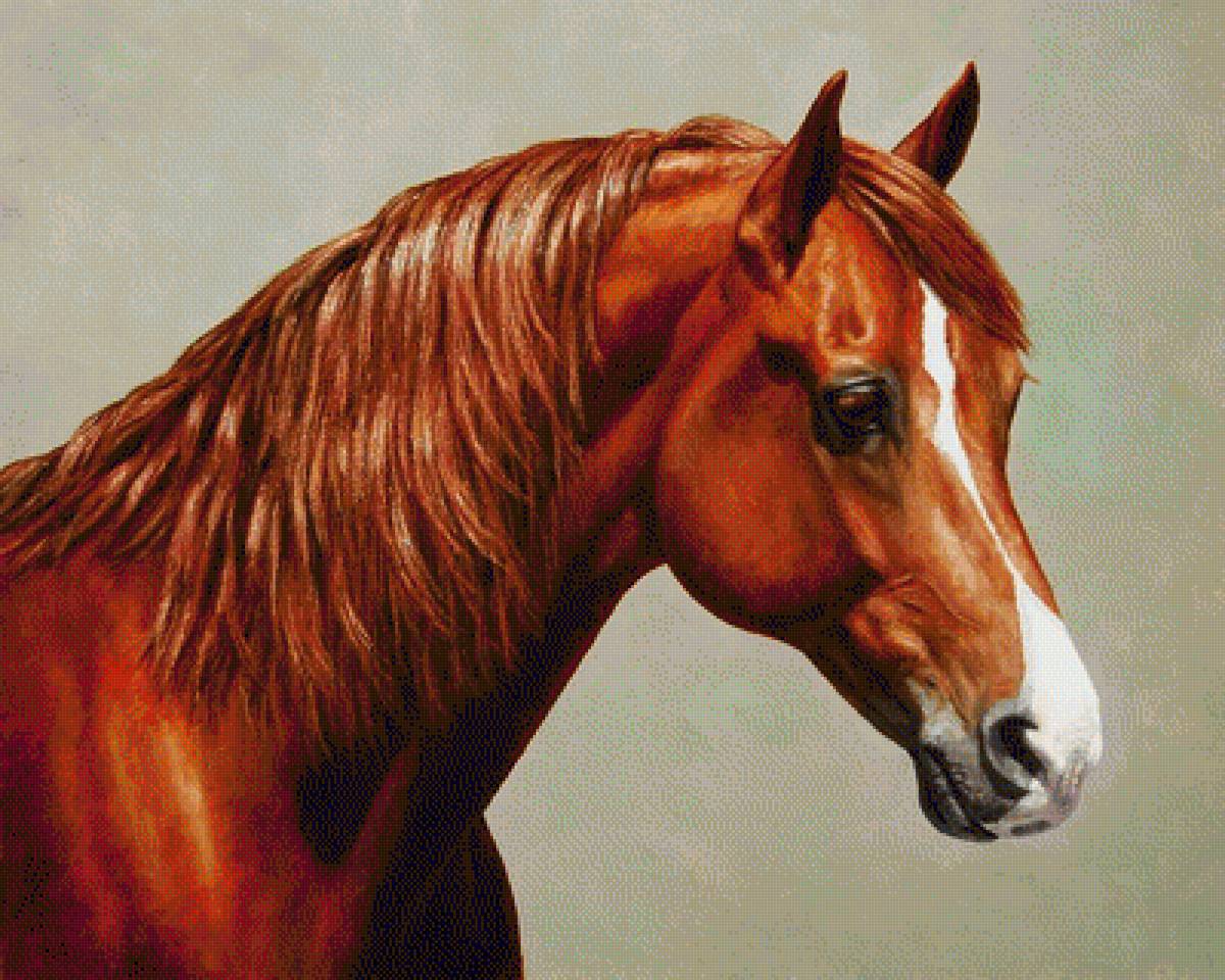 CABALLO - 400 x 320 - предпросмотр