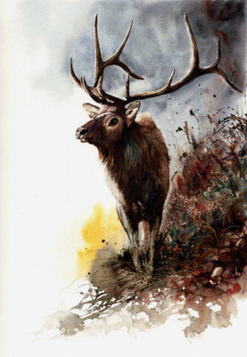 Олень худ. P. Williams - предпросмотр