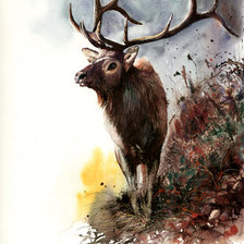 Схема вышивки «Олень худ. P. Williams»