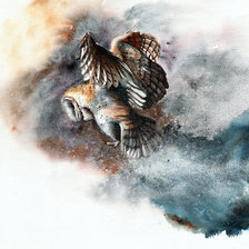 Сова худ. P. Williams