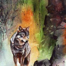 Волк худ. P. Williams