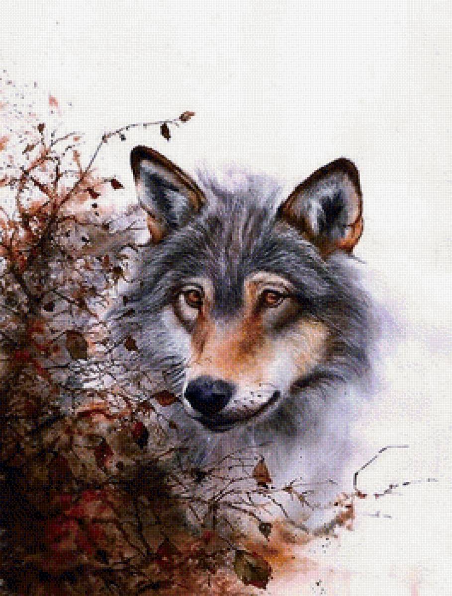 Волк худ. P. Williams - хищник - предпросмотр