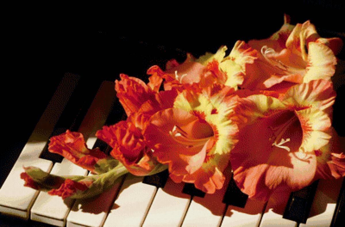 музыка - предпросмотр