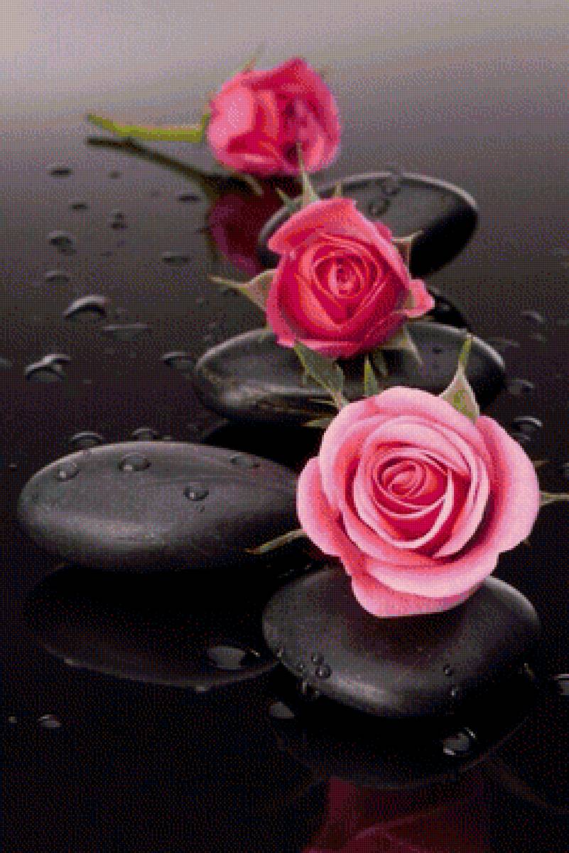 СЮЖЕТ - предпросмотр