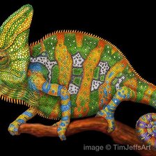 Схема вышивки «ящерица»