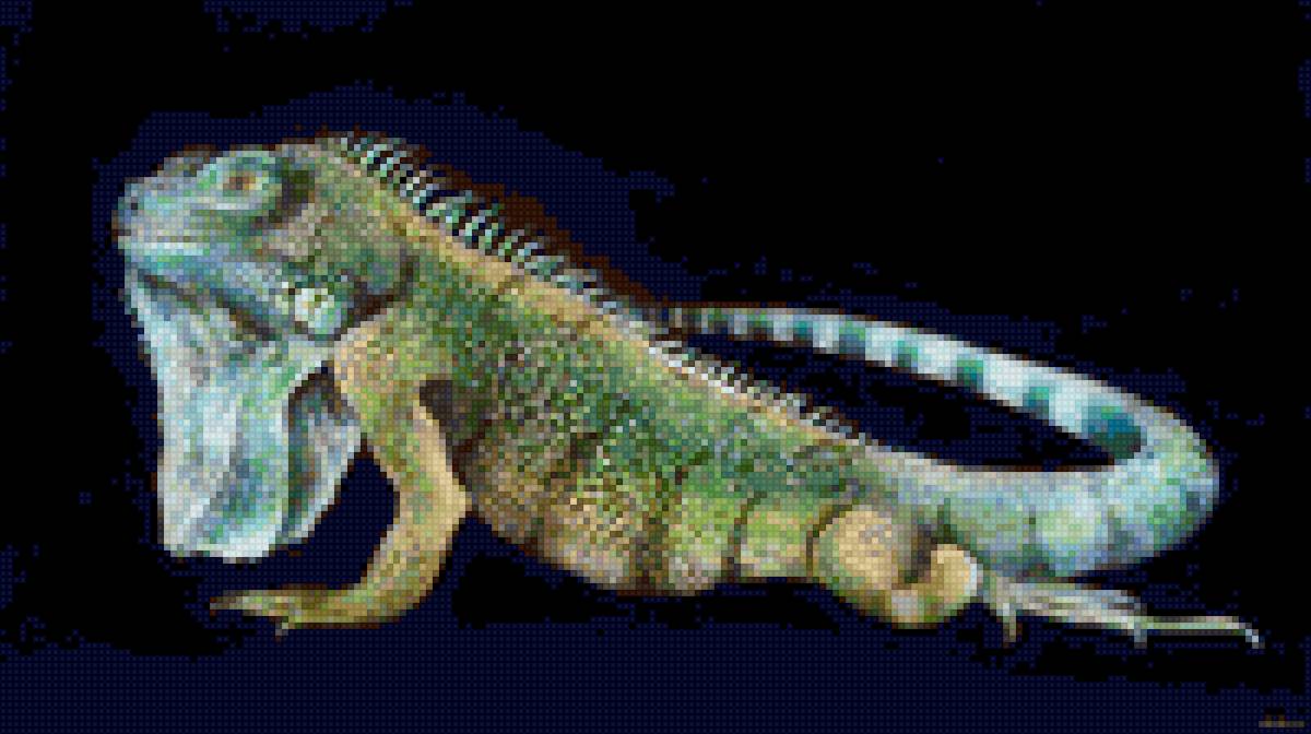 ящерица - ящерица - предпросмотр