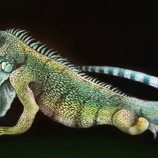 Схема вышивки «ящерица»