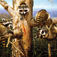 Схема вышивки «№1951126»