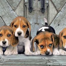 Схема вышивки «№1951140»