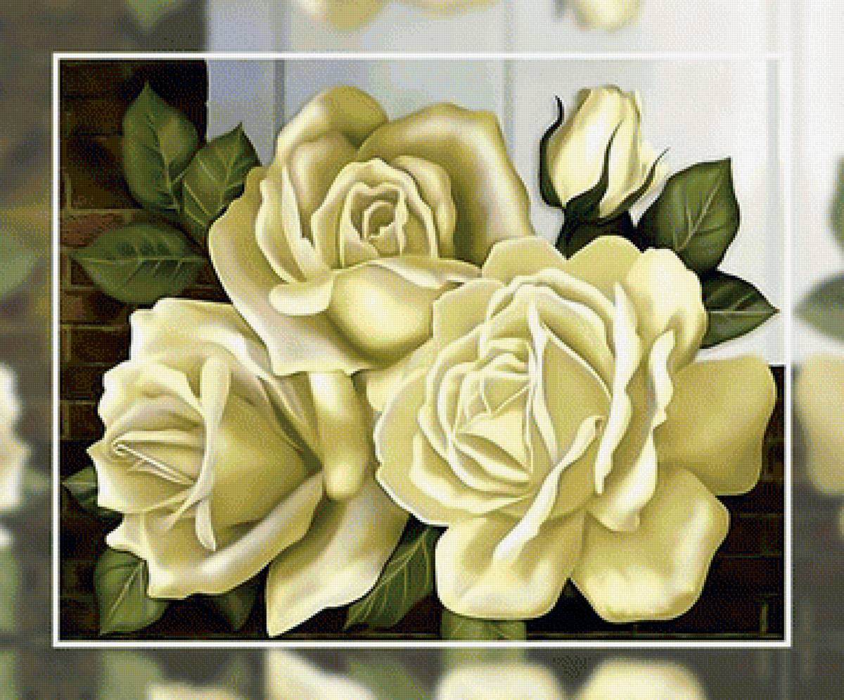 Белые розы. - живопись., розы, белые, букет - предпросмотр