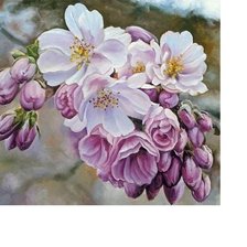 Схема вышивки «№1951414»