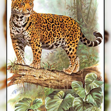 Схема вышивки «Серия " Кошачьи" Роберт Даллет.»