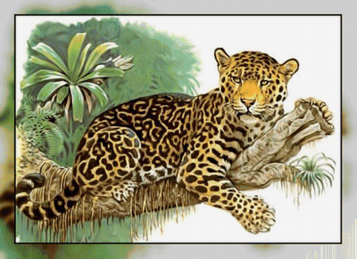 Серия " Кошачьи" Роберт Даллет. - леопард, хищник, животные. - предпросмотр