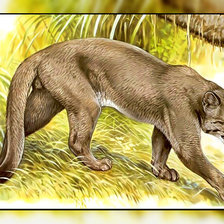 Схема вышивки «Серия " Кошачьи" Роберт Даллет.»