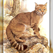Схема вышивки «Серия " Кошачьи" Роберт Даллет.»