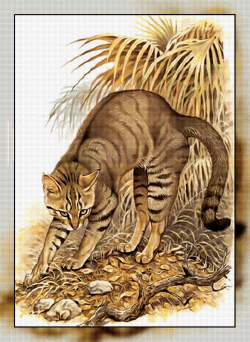 Серия " Кошачьи" Роберт Даллет. - хищник, кот., камышовый, большой - предпросмотр