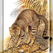 Схема вышивки «Серия " Кошачьи" Роберт Даллет.»