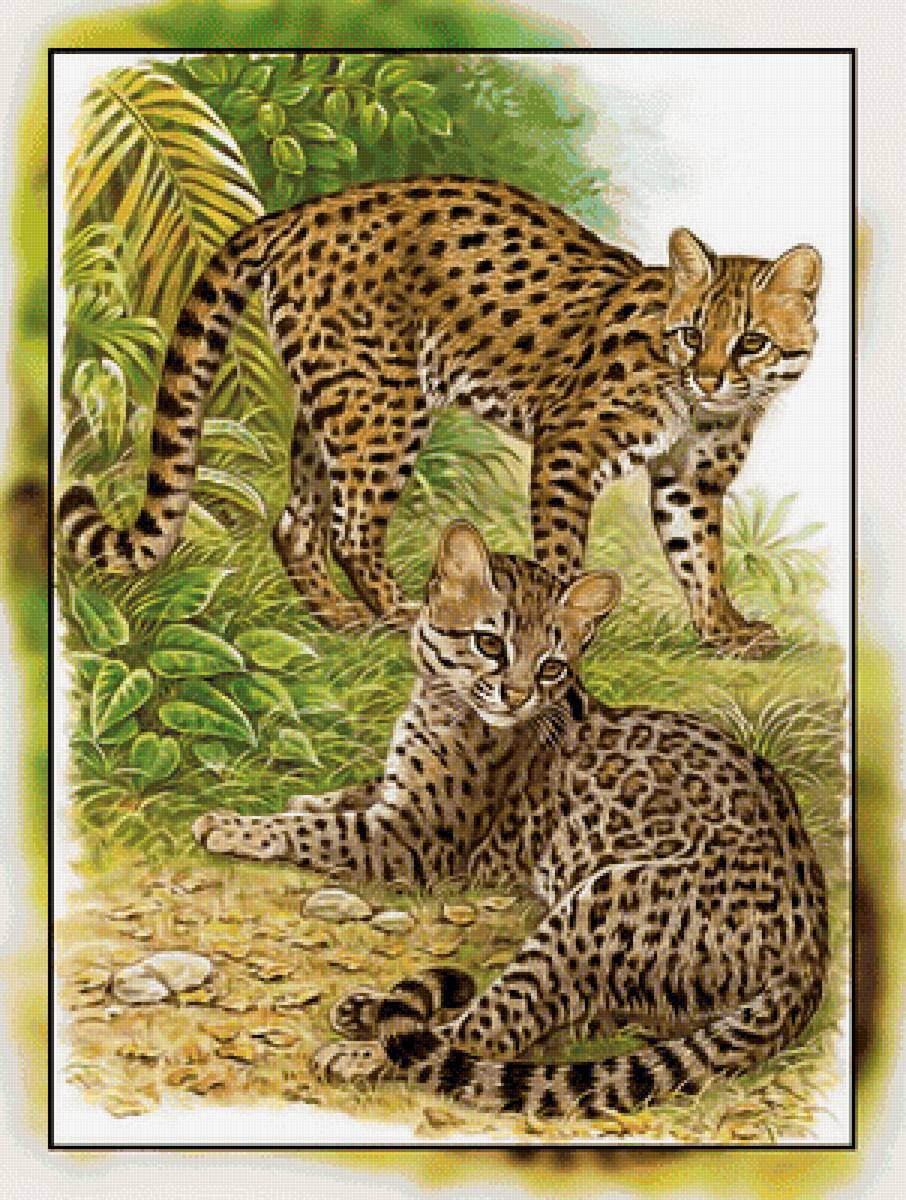 Серия " Кошачьи" Роберт Даллет. - хищник, животные., кошка, большая - предпросмотр