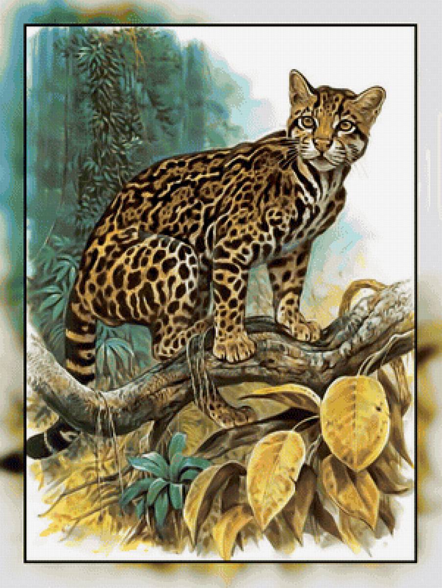 Серия " Кошачьи" Роберт Даллет. - большая, кошка, животные., хищник - предпросмотр