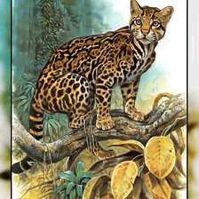 Схема вышивки «Серия " Кошачьи" Роберт Даллет.»