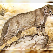 Схема вышивки «Серия " Кошачьи" Роберт Даллет.»