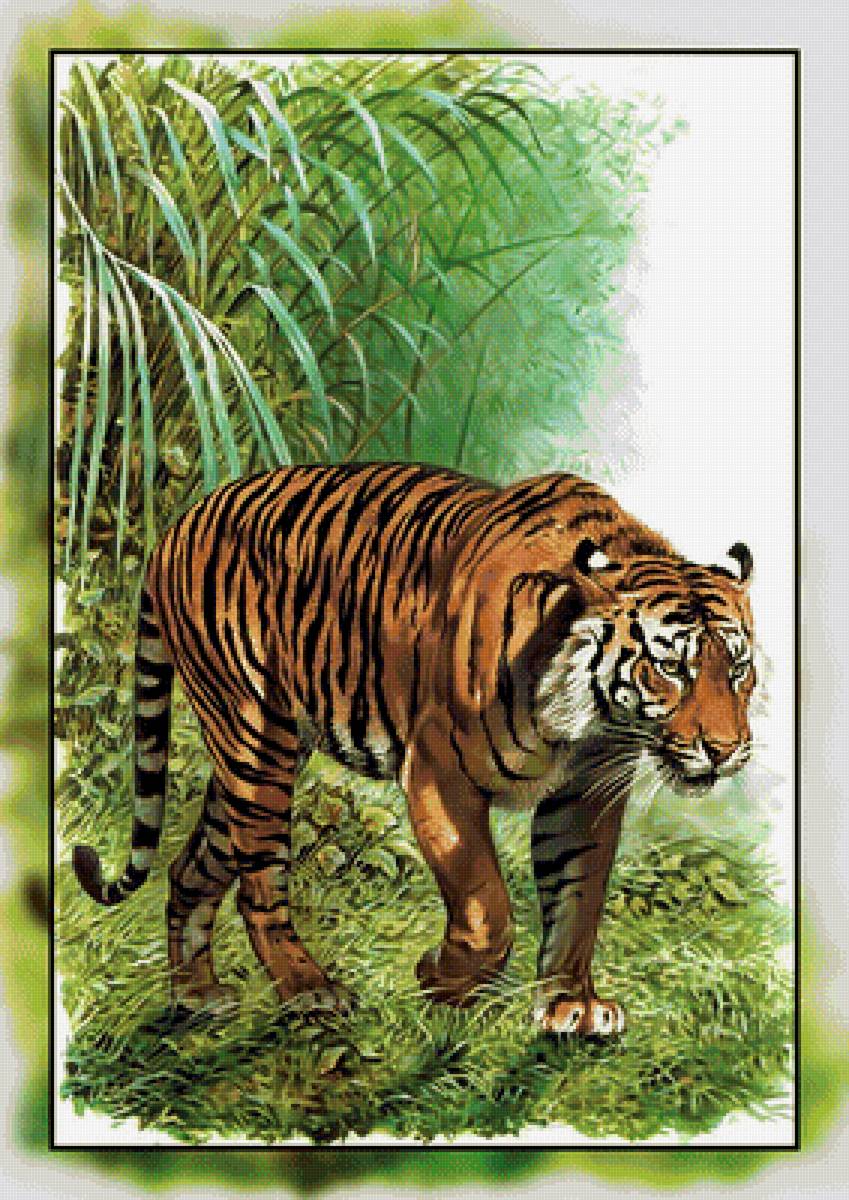 Серия " Кошачьи" Роберт Даллет. - животные., тигр, хищник - предпросмотр