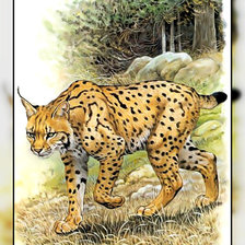 Схема вышивки «Серия " Кошачьи" Роберт Даллет.»