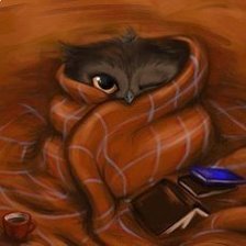 Схема вышивки «сова»