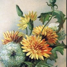 Схема вышивки «ОДУВАНЧИК»