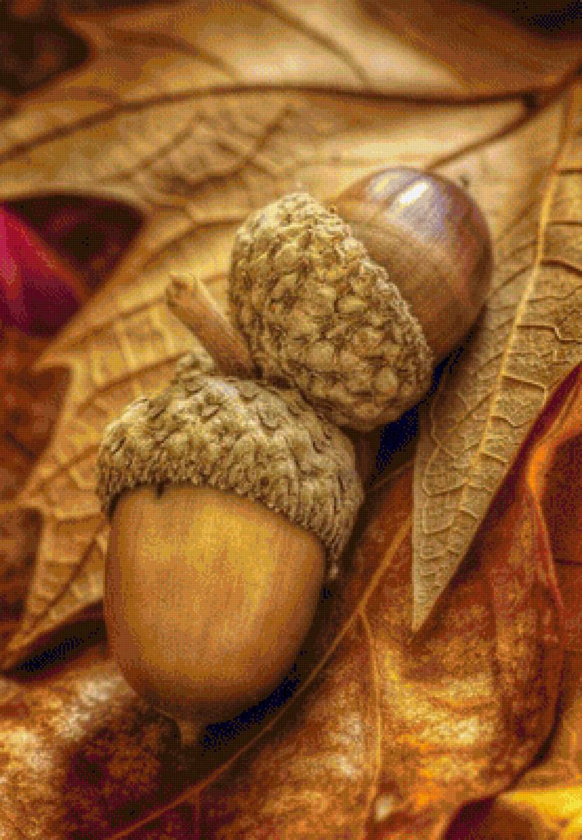 ДАРЫ ПРИРОДЫ - красивые картинки - предпросмотр