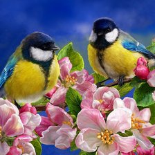 Схема вышивки «Синицы»