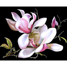 Схема вышивки «Серия "Магнолии"»