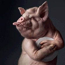 Схема вышивки «свин»