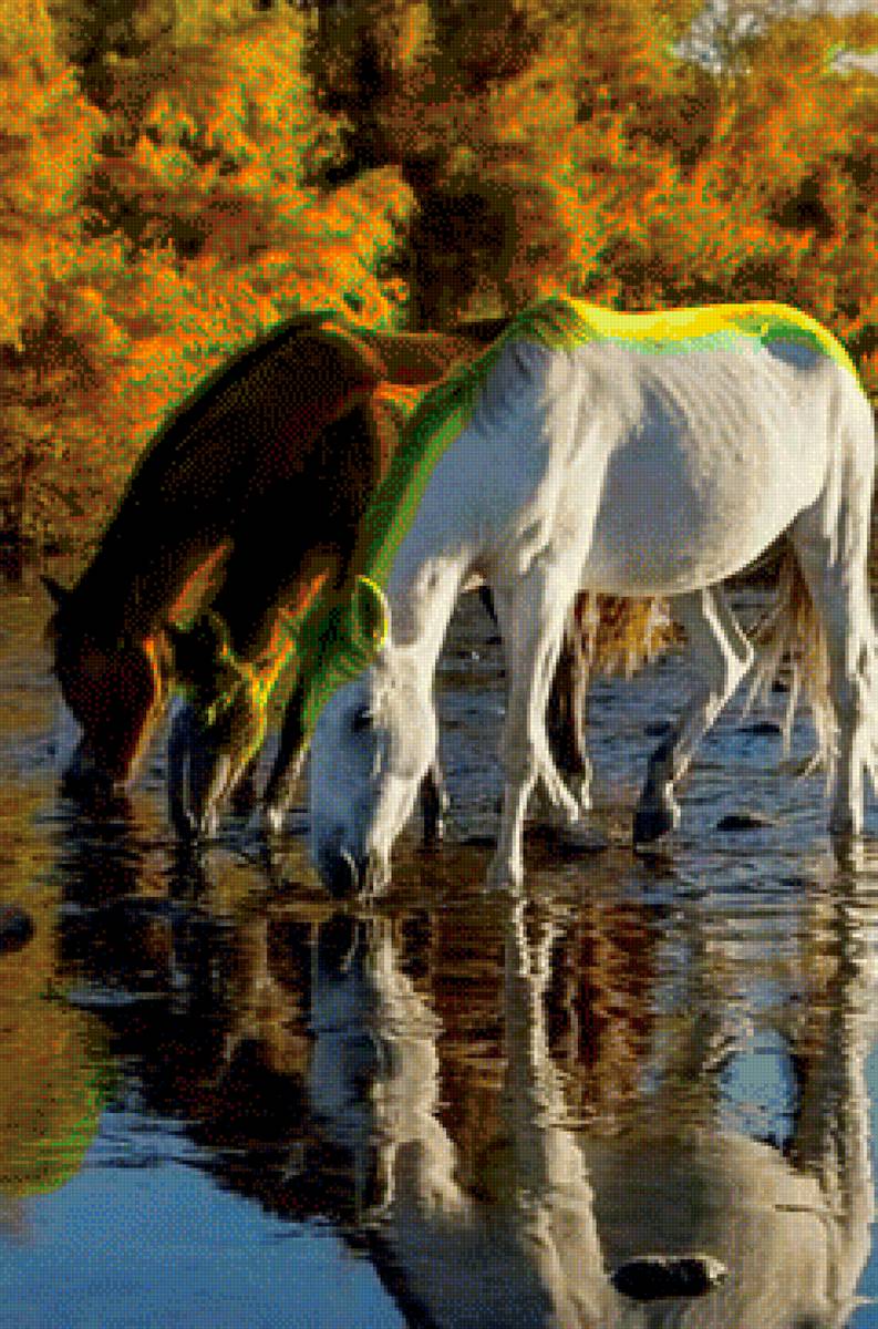 Лошади - река, лошади - предпросмотр